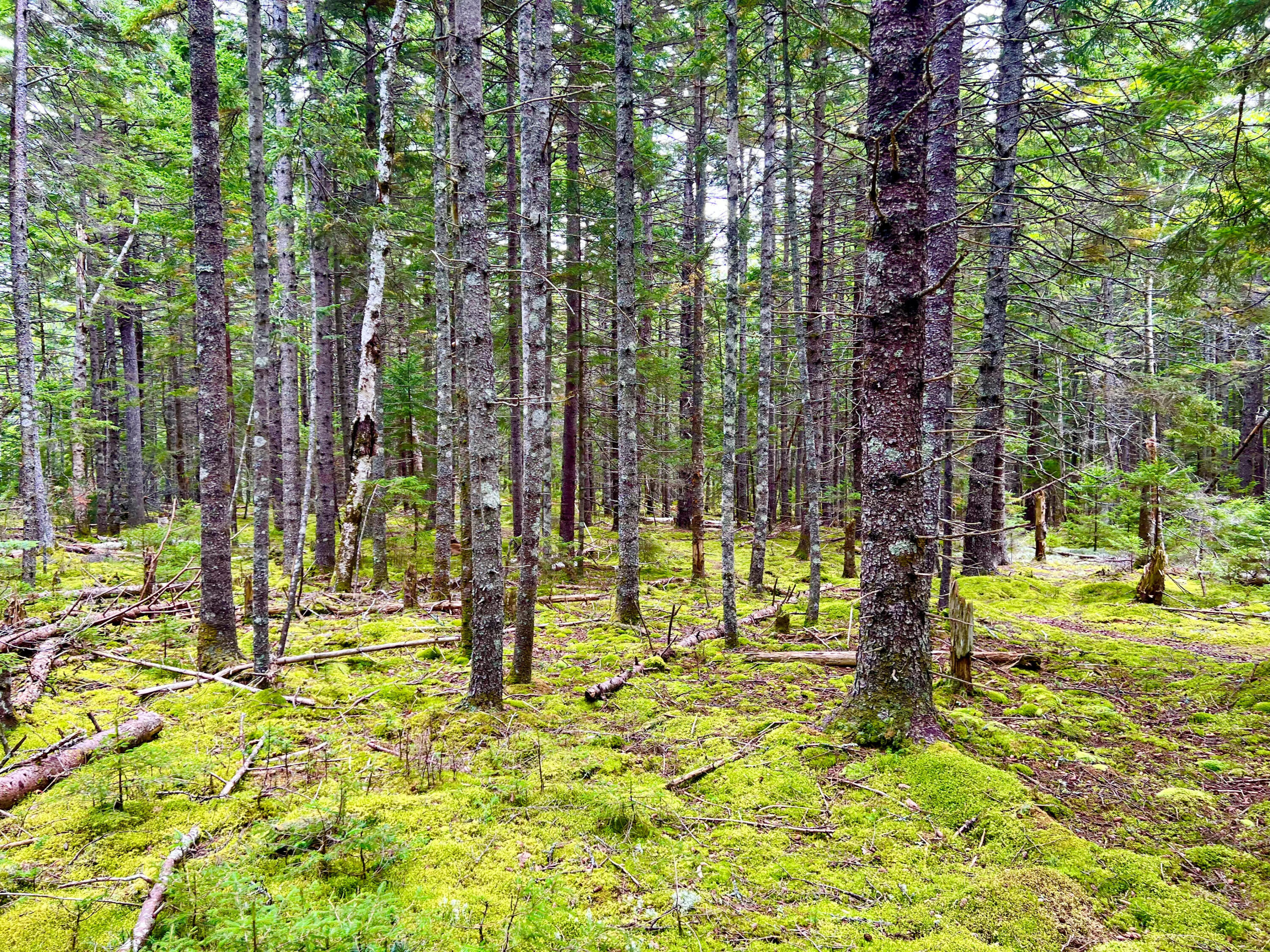 101 Freeman Ridge Road Southwest Harbor ME 04679