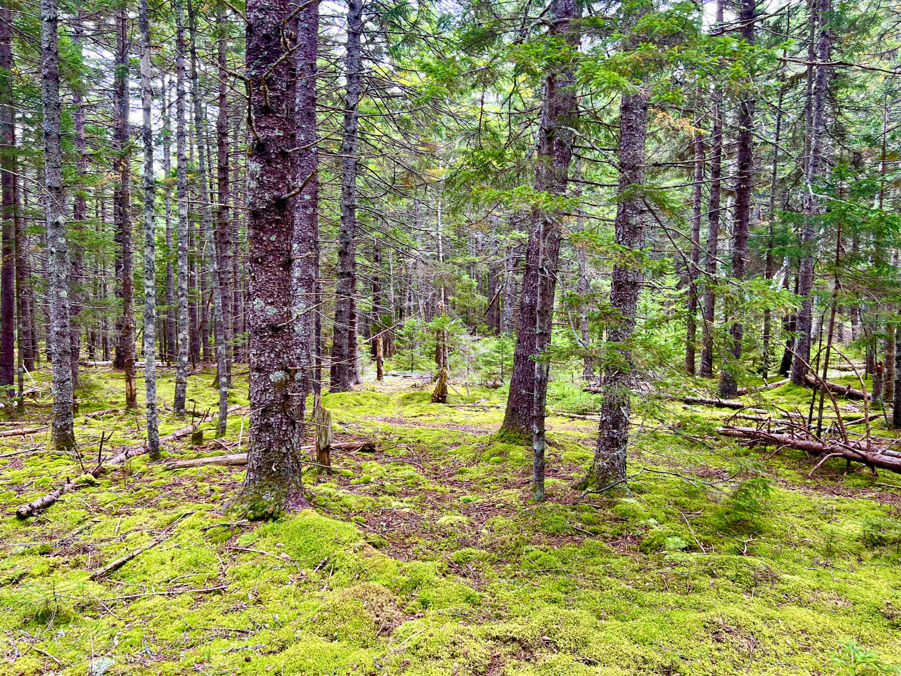 101 Freeman Ridge Road Southwest Harbor ME 04679