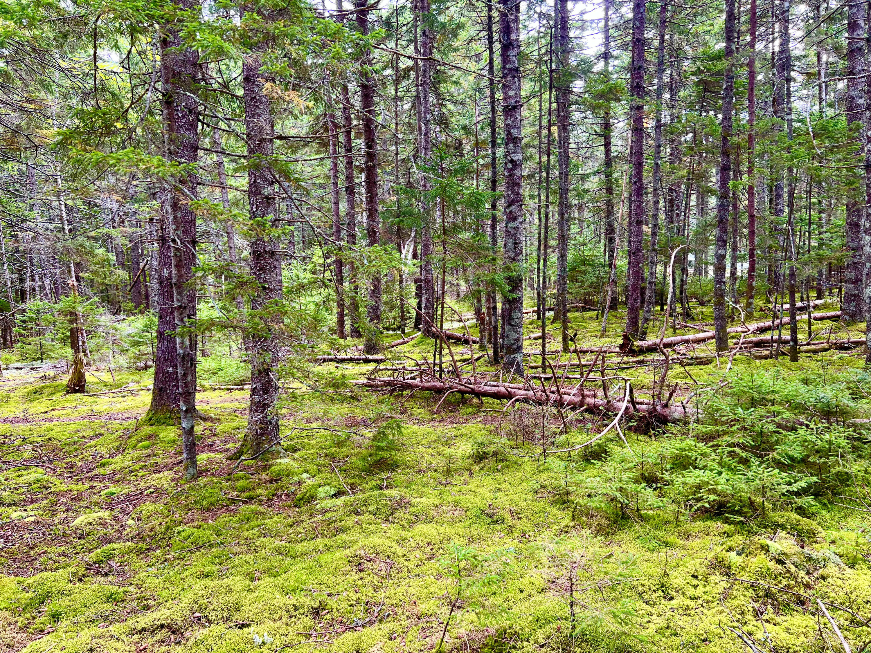 101 Freeman Ridge Road Southwest Harbor ME 04679