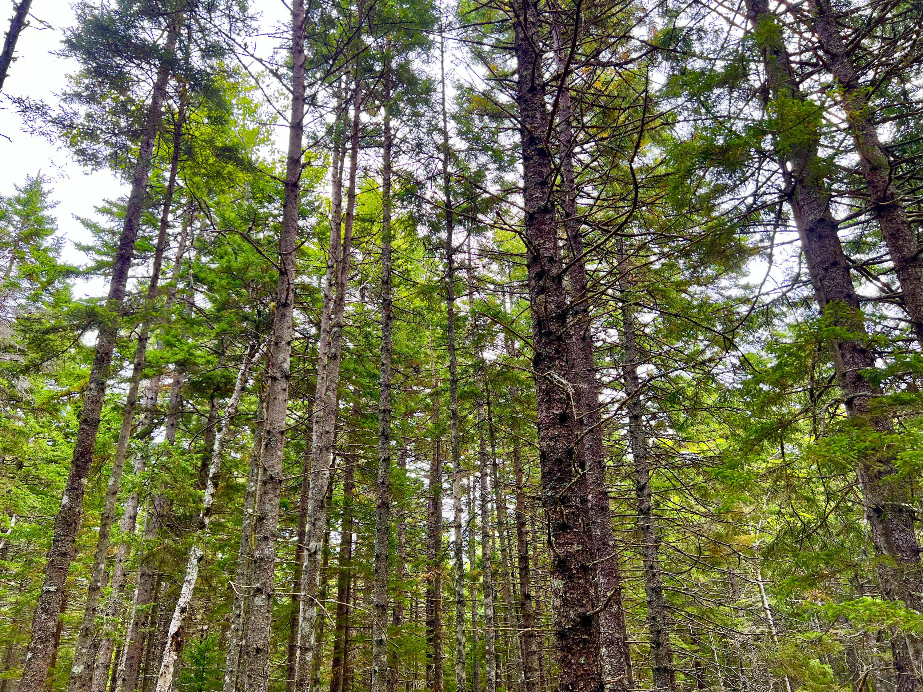 101 Freeman Ridge Road Southwest Harbor ME 04679