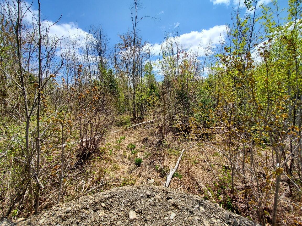 LOT#2 Cone Road Amity ME 04471