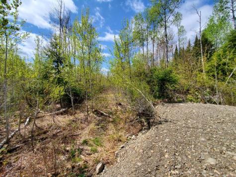 LOT#2 Cone Road Amity ME 04471
