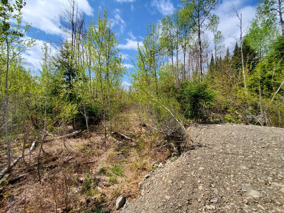 LOT#2 Cone Road Amity ME 04471