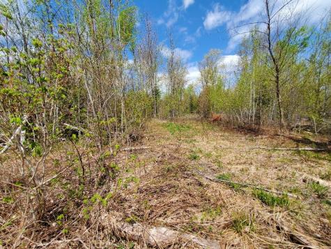 LOT#2 Cone Road Amity ME 04471