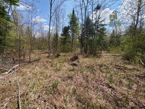 LOT#2 Cone Road Amity ME 04471