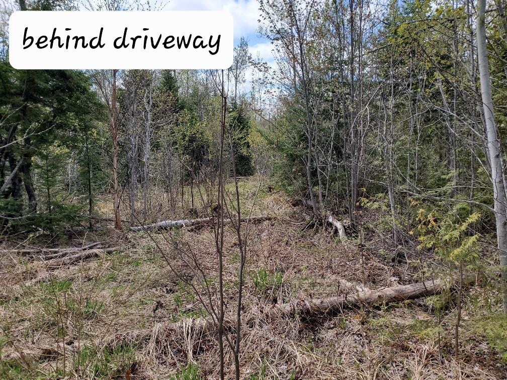 LOT#2 Cone Road Amity ME 04471