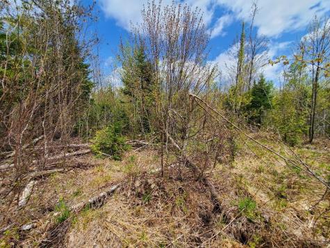 LOT#2 Cone Road Amity ME 04471