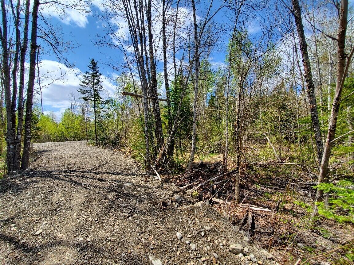 LOT#2 Cone Road Amity ME 04471