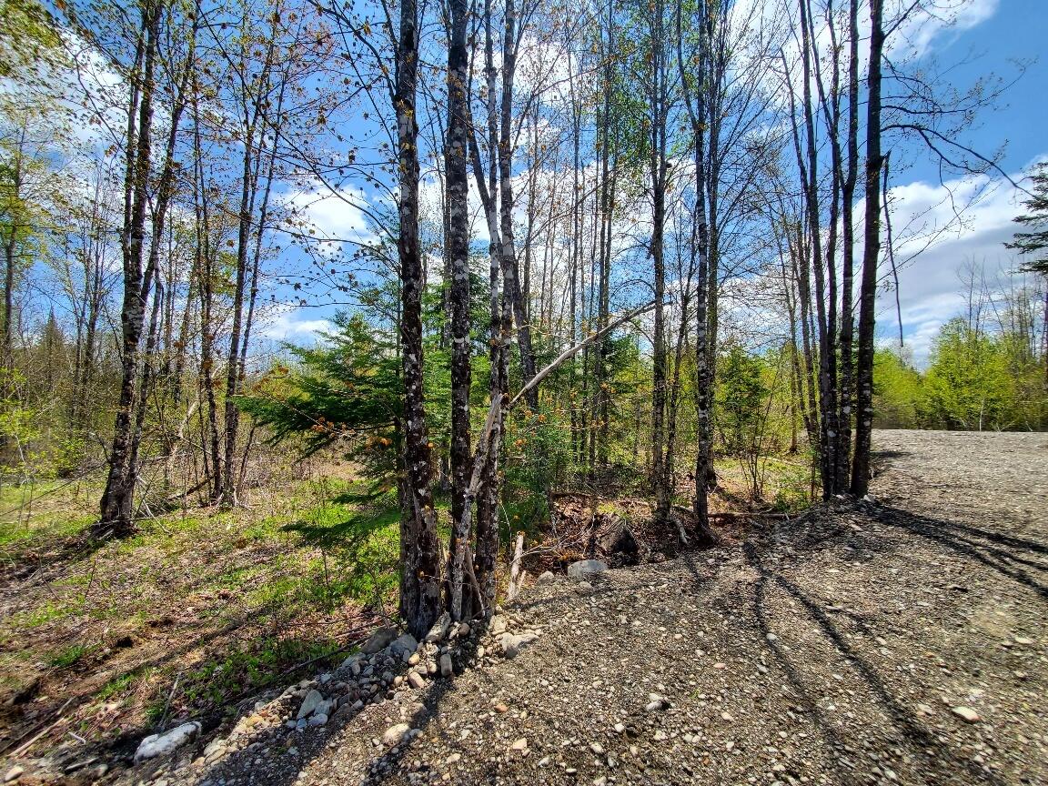 LOT#2 Cone Road Amity ME 04471