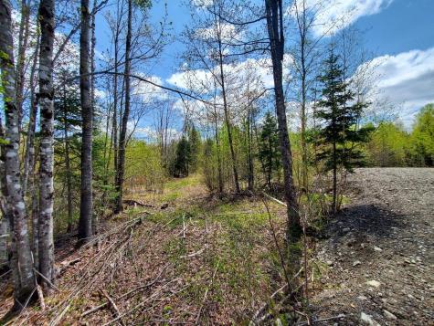 LOT#2 Cone Road Amity ME 04471