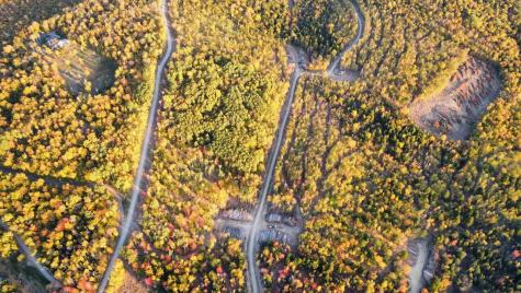 Lot 1 Sleeper Road Island Falls ME 04747