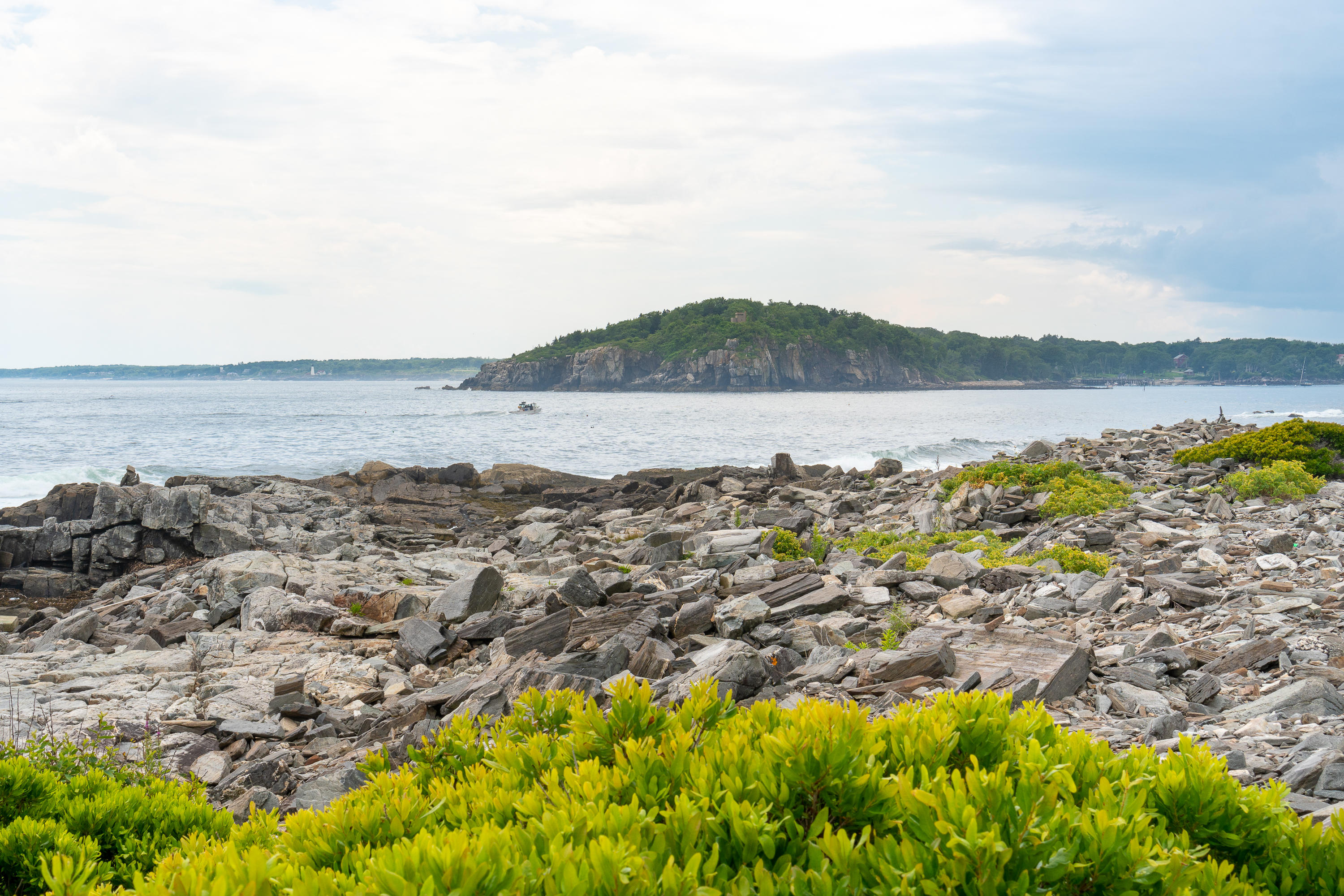 24 Edwards Street Portland ME 04108