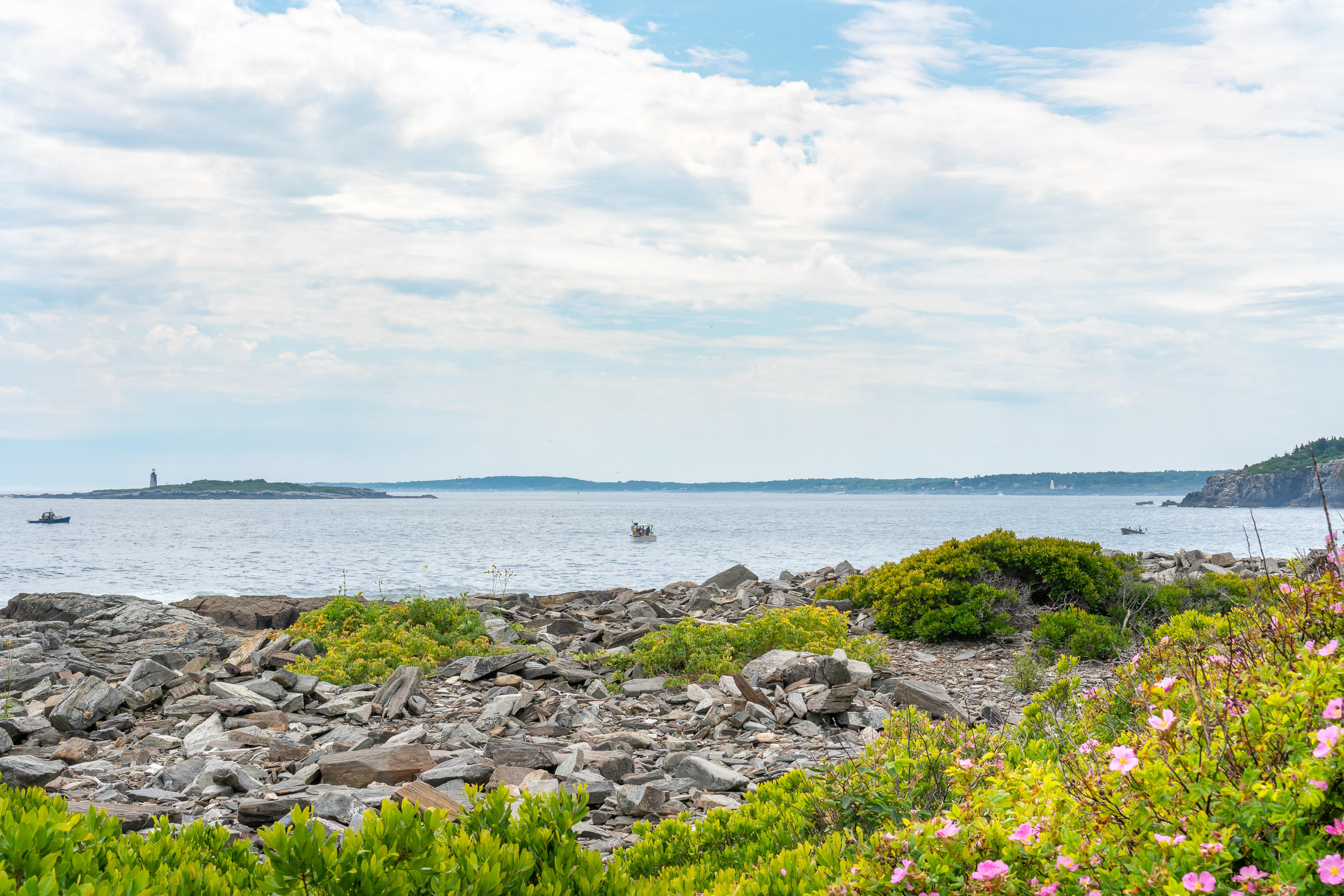 24 Edwards Street Portland ME 04108