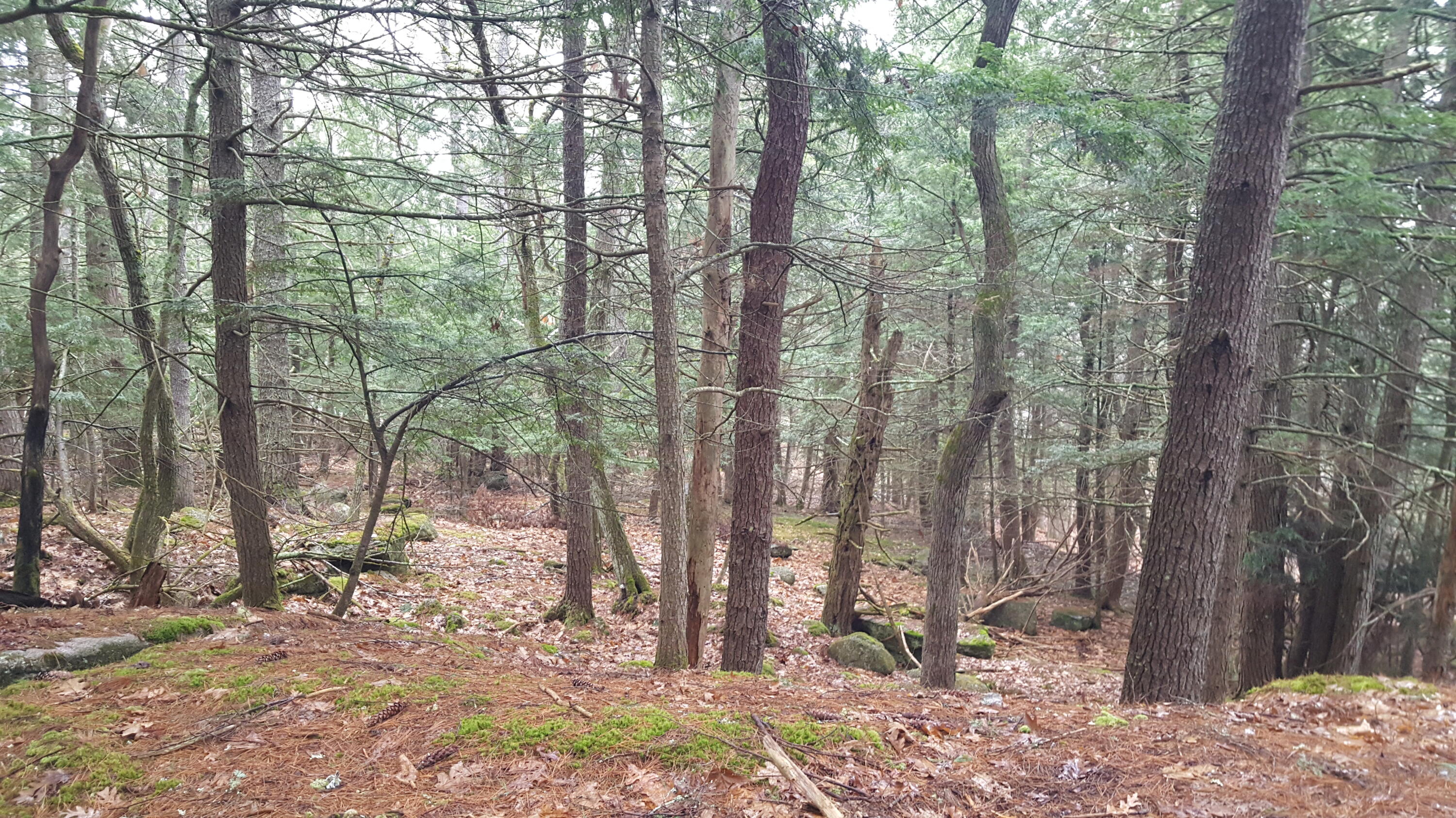 53 Johnson Road Windham ME 04062