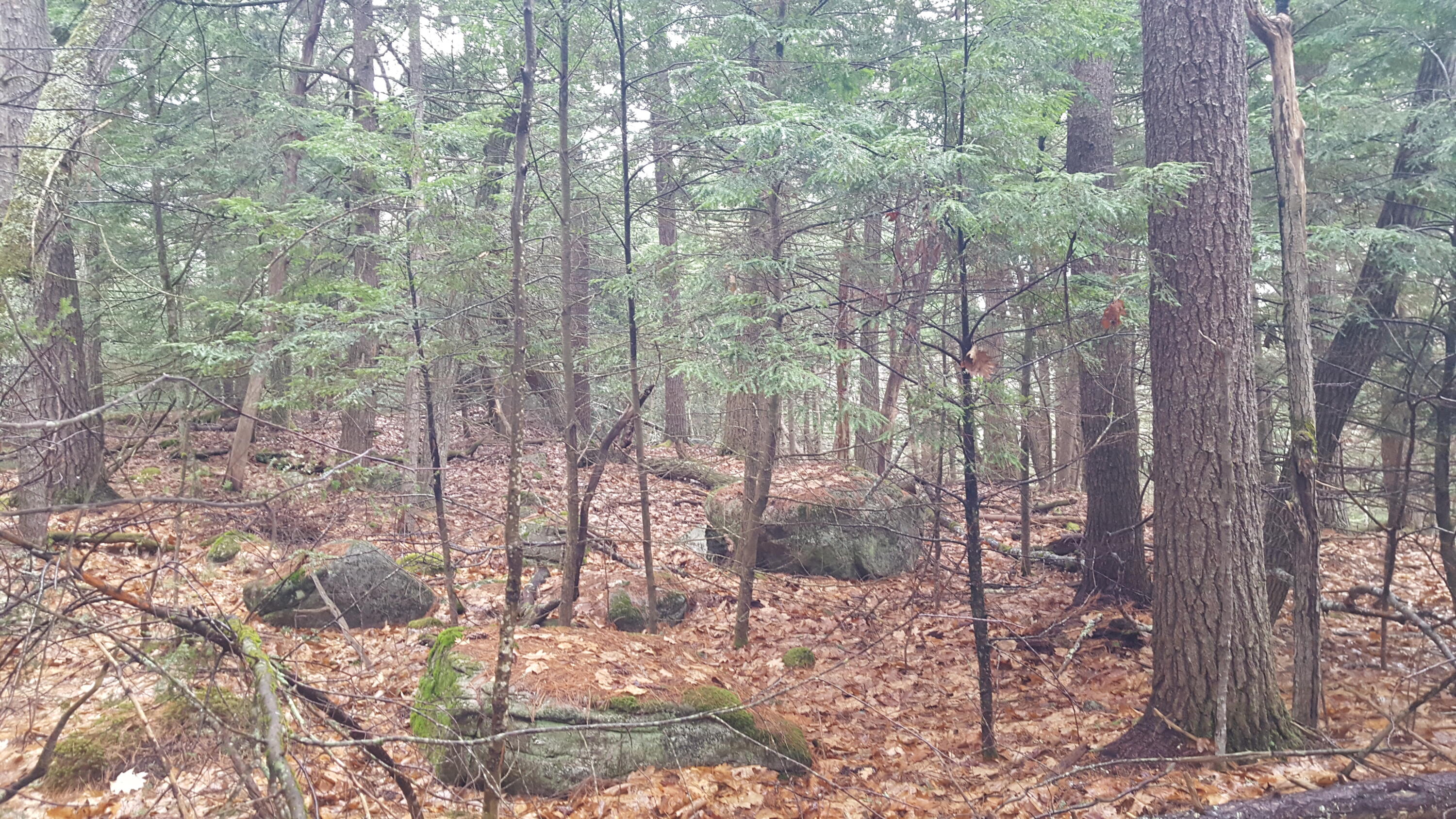 53 Johnson Road Windham ME 04062