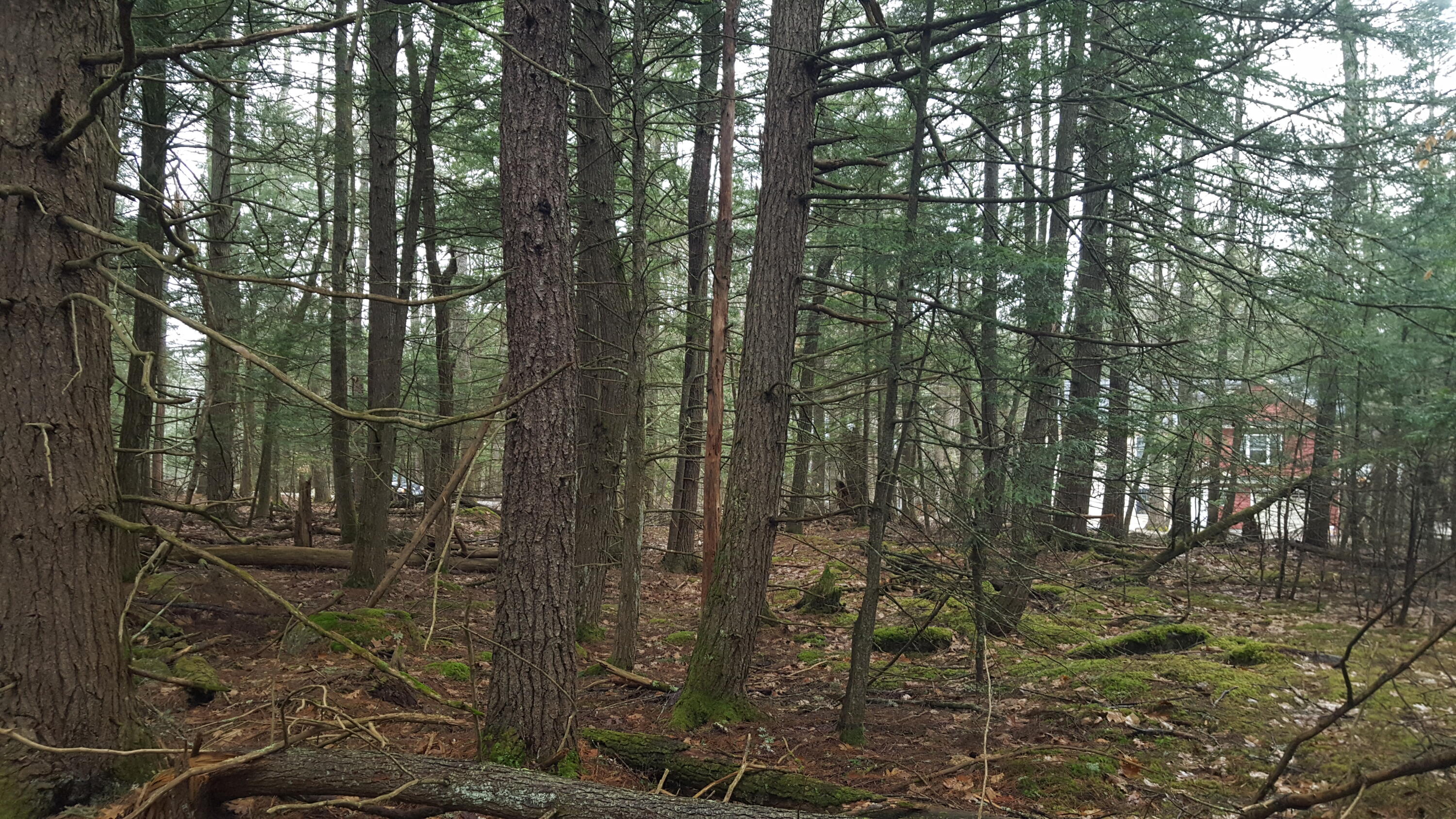 53 Johnson Road Windham ME 04062