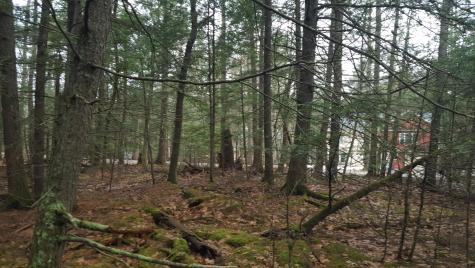 53 Johnson Road Windham ME 04062
