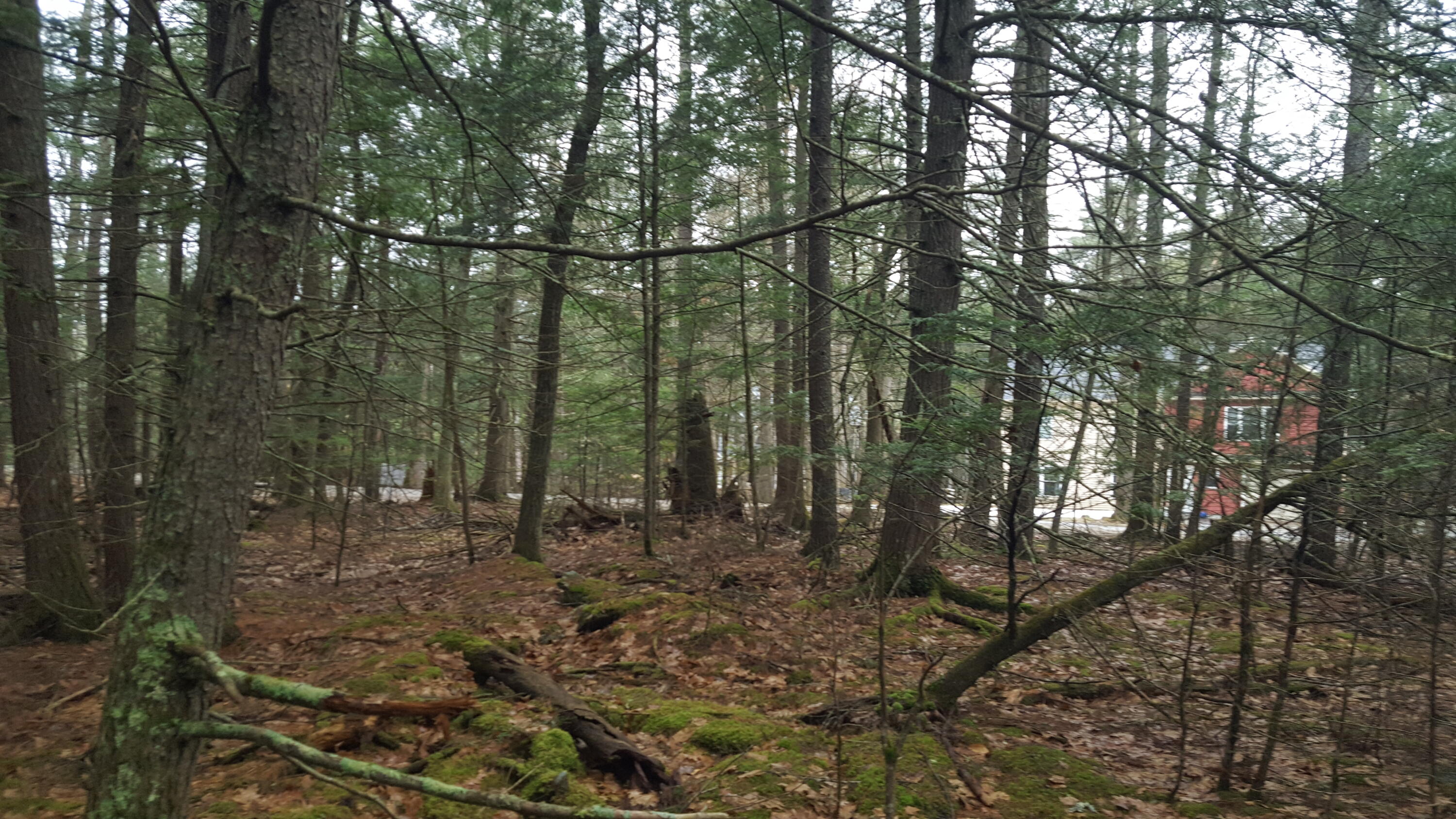 53 Johnson Road Windham ME 04062