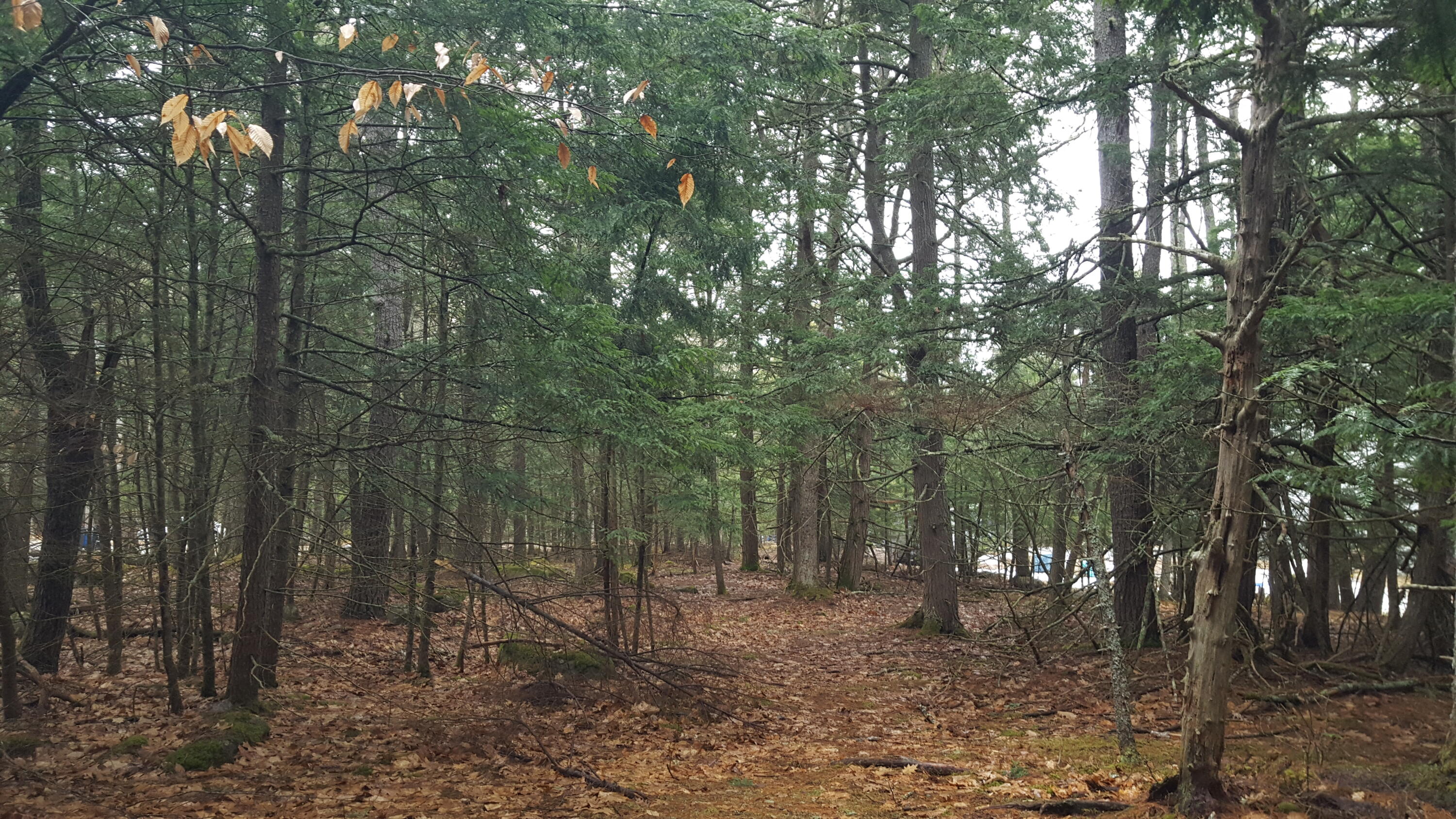 53 Johnson Road Windham ME 04062