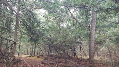 53 Johnson Road Windham ME 04062