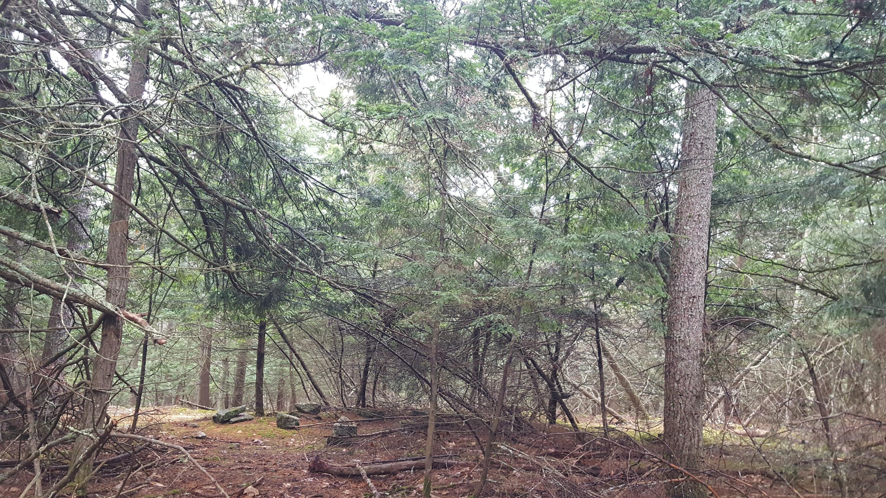 53 Johnson Road Windham ME 04062
