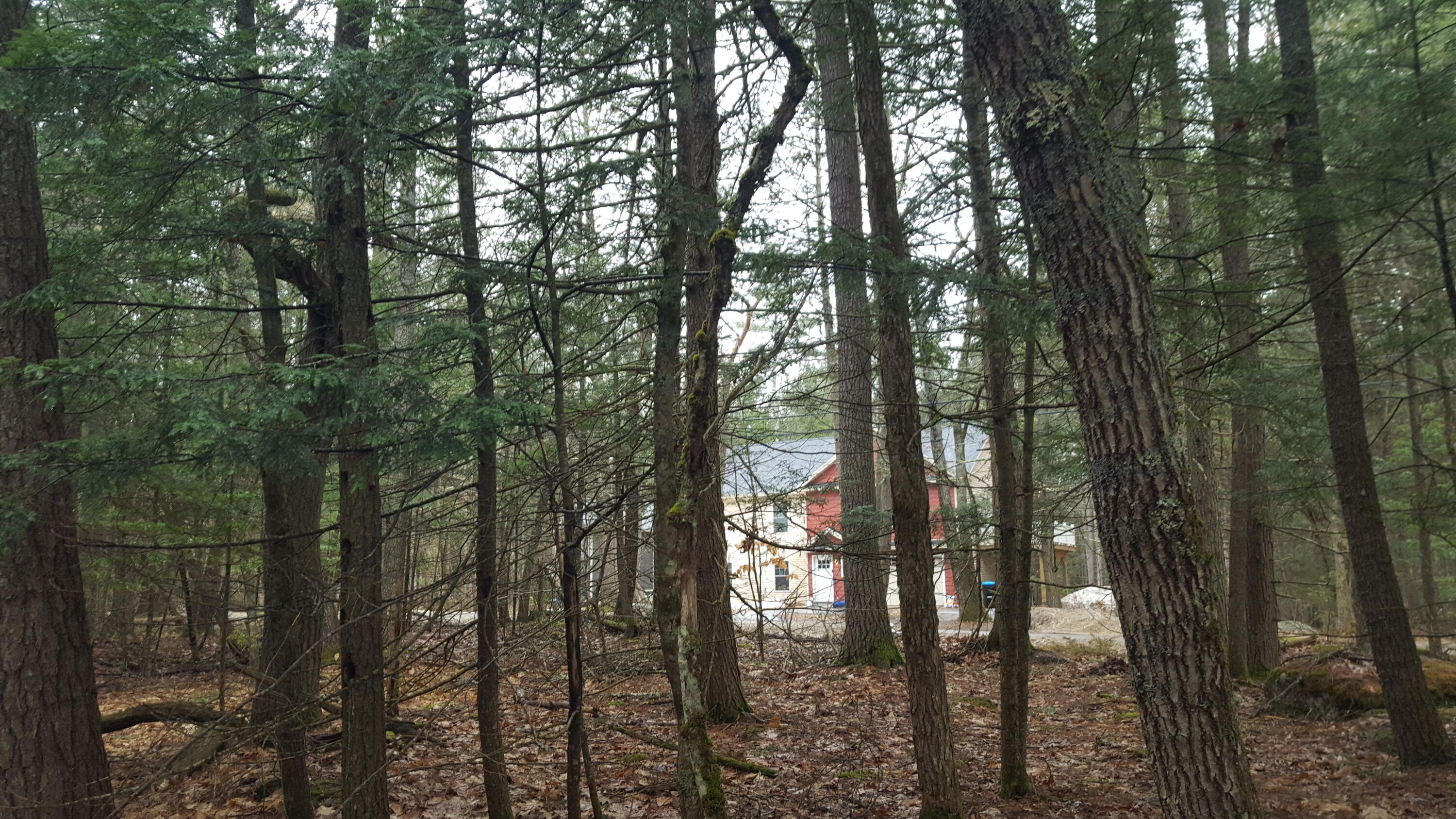 53 Johnson Road Windham ME 04062