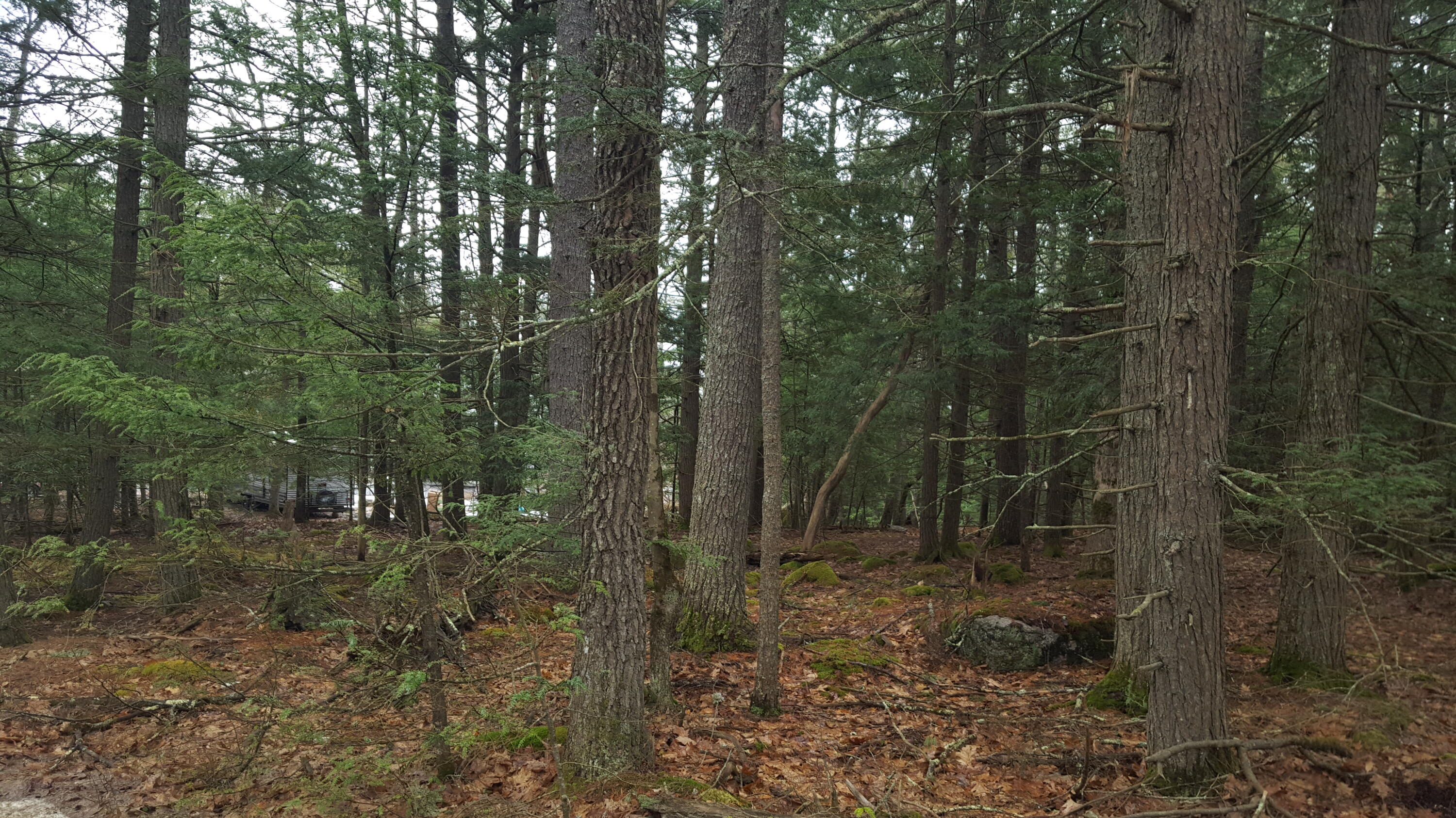 53 Johnson Road Windham ME 04062