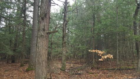 53 Johnson Road Windham ME 04062