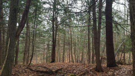 53 Johnson Road Windham ME 04062