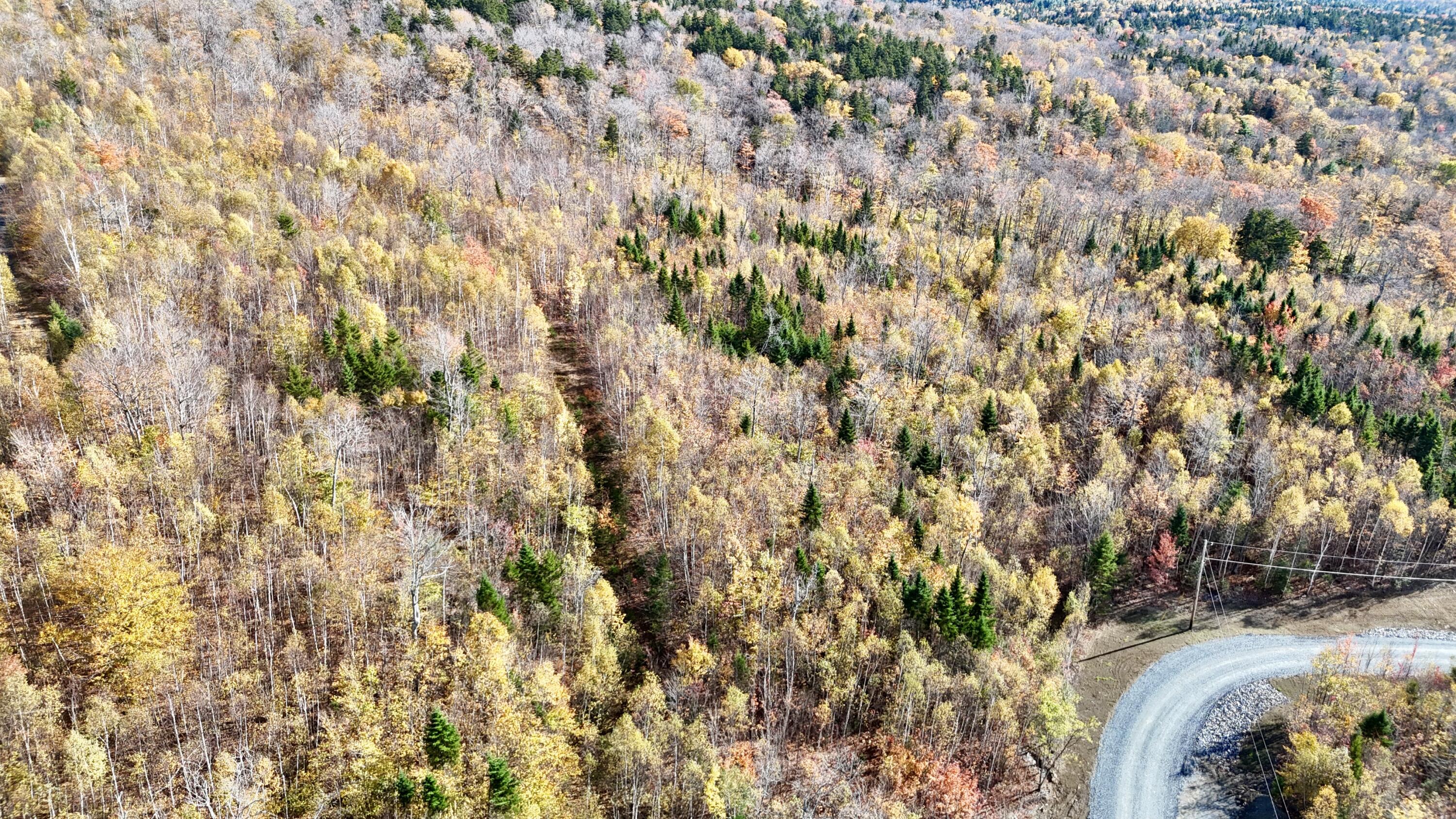 Lot 11 Blair Hill Road Greenville ME 04441