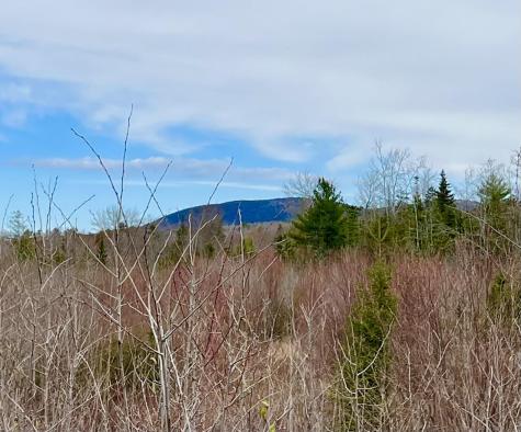 19 Aspen Lane Sullivan ME 04664