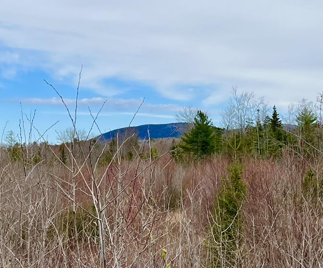 19 Aspen Lane Sullivan ME 04664