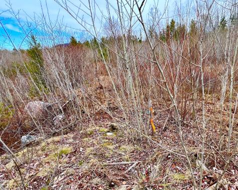 19 Aspen Lane Sullivan ME 04664