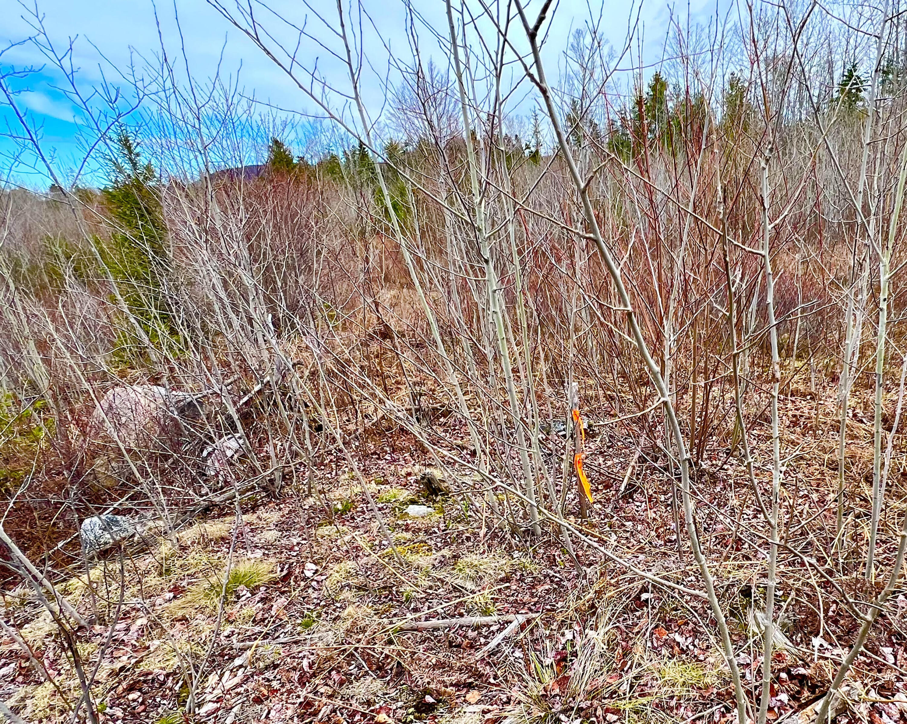 19 Aspen Lane Sullivan ME 04664