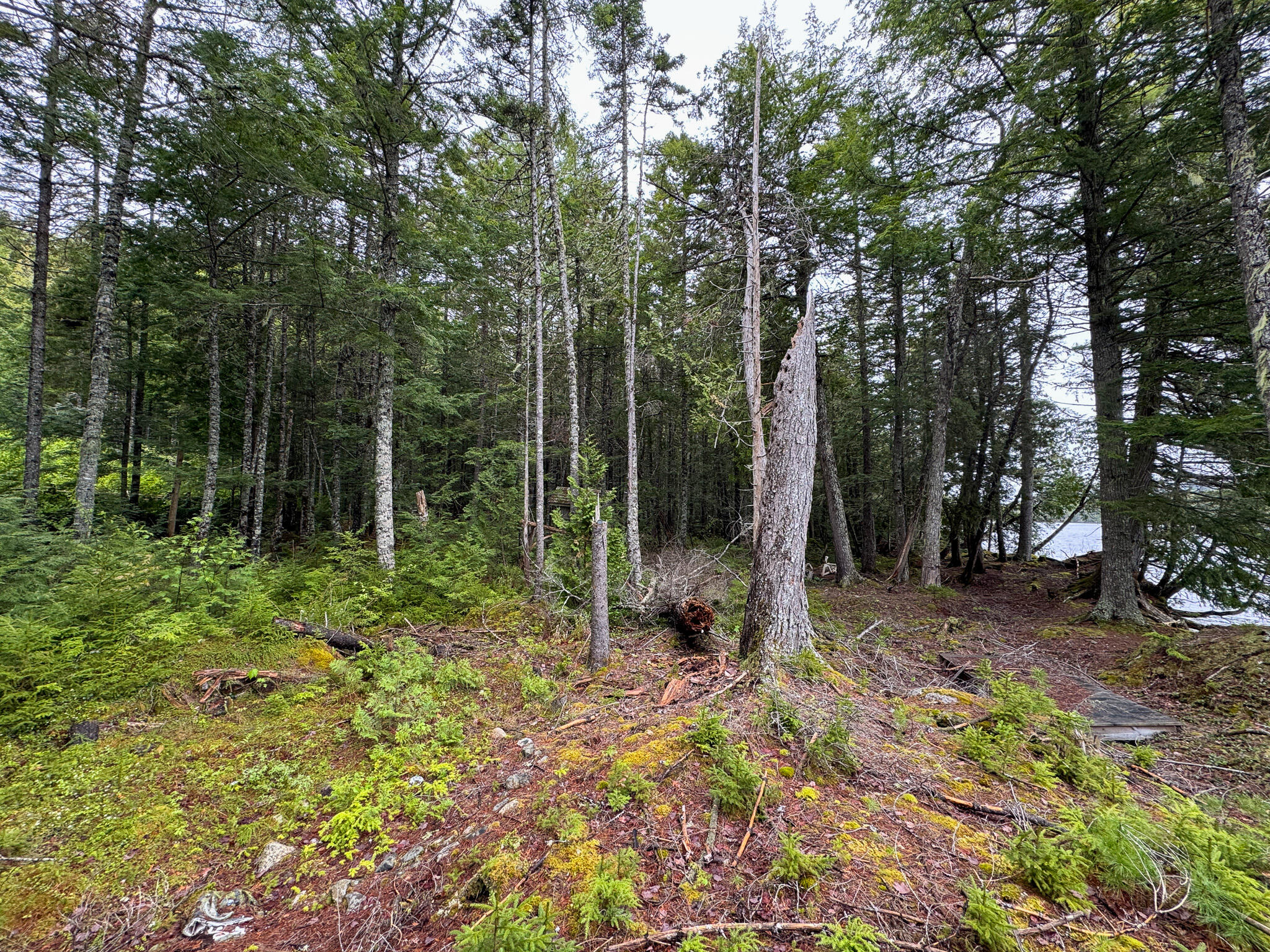 M7L16 Upper Pug Road W Lakeville ME 04487