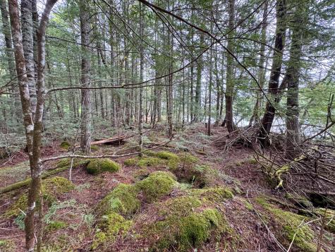 M7l16 Upper Pug Road W Lakeville ME 04487