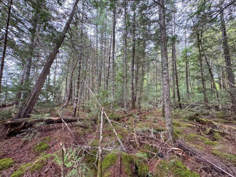 M7l16 Upper Pug Road W Lakeville ME 04487