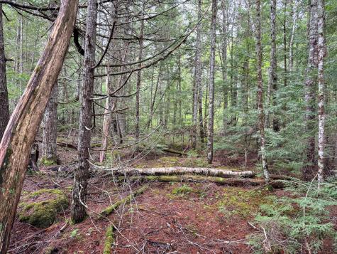 M7l16 Upper Pug Road W Lakeville ME 04487