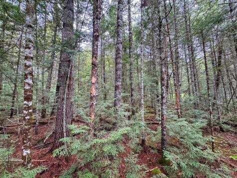 M7l16 Upper Pug Road W Lakeville ME 04487