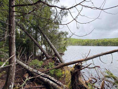 M7l16 Upper Pug Road W Lakeville ME 04487