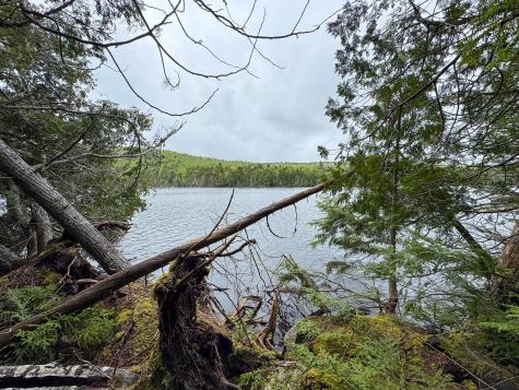 M7l16 Upper Pug Road W Lakeville ME 04487