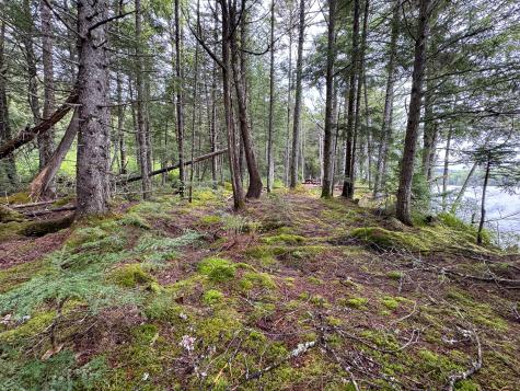 M7l16 Upper Pug Road W Lakeville ME 04487