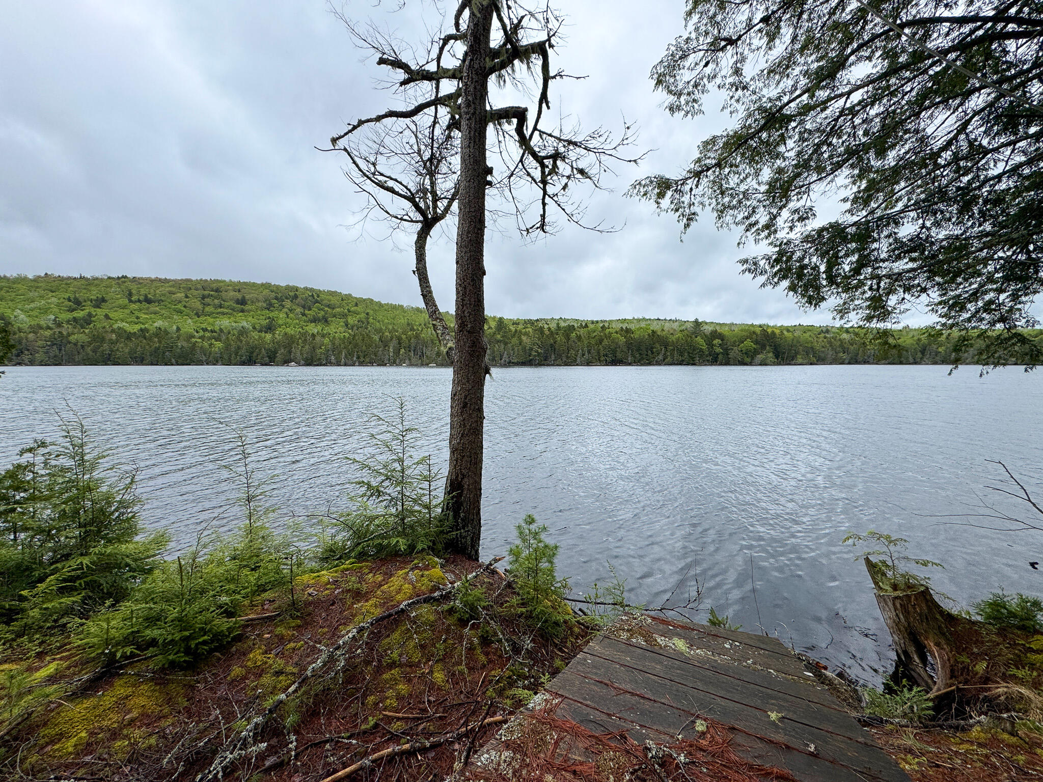 M7L16 Upper Pug Road W Lakeville ME 04487