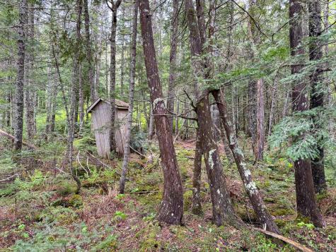 M7l16 Upper Pug Road W Lakeville ME 04487