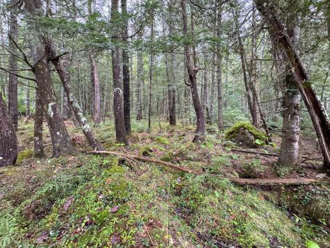 M7l16 Upper Pug Road W Lakeville ME 04487