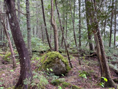 M7l16 Upper Pug Road W Lakeville ME 04487