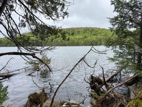 M7l16 Upper Pug Road W Lakeville ME 04487