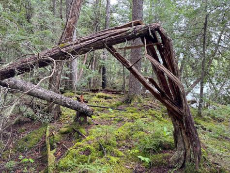 M7l16 Upper Pug Road W Lakeville ME 04487