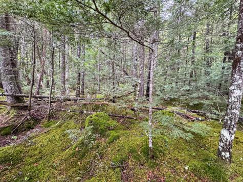 M7l16 Upper Pug Road W Lakeville ME 04487