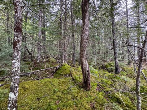 M7l16 Upper Pug Road W Lakeville ME 04487